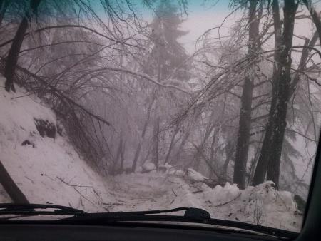 vir PGD Polhov Gradec 2